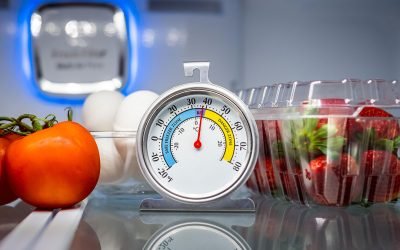Ideal freezer temperature lg