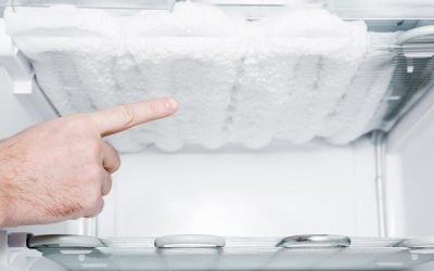 Fridge too cold freezing everything?